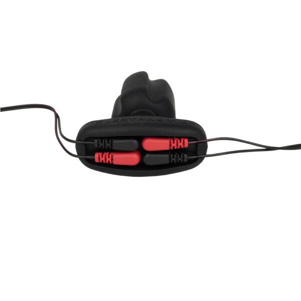 N12504 electrastim tartarus quadripolar electro butt plug 2.jpg