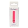 Loving Joy 10 Function Pink Bullet Vibrator Loving Joy 10 Function Pink Bullet Vibrator