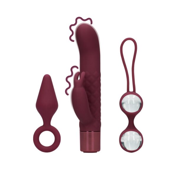 Sex Toy Kit for Her Sex Toy Kit for Her