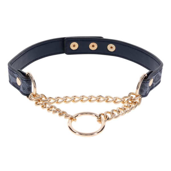 SportSheets Cougar Day Collar