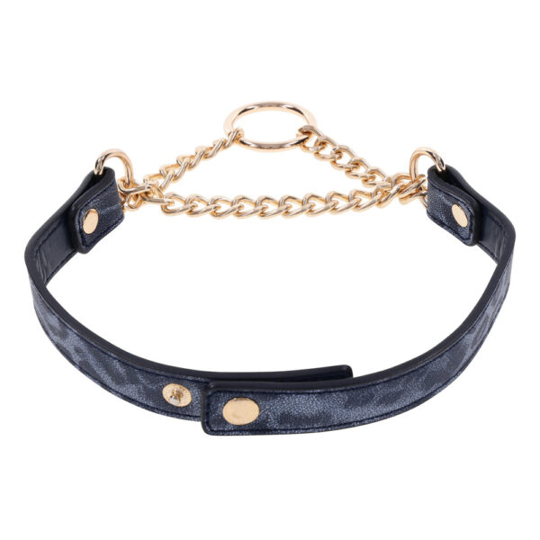 SportSheets Cougar Day Collar - Image 3